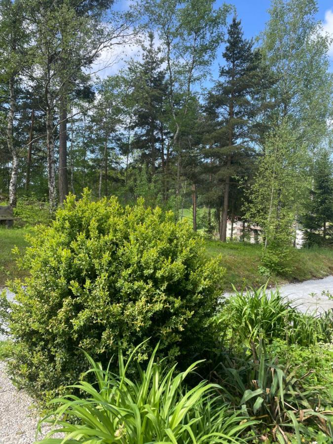 Haus Am Berg - Waldviertel Villa Arbesbach Ngoại thất bức ảnh